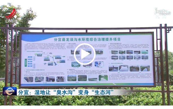 江西衛視：濕地讓“臭水溝”變身“生態河”